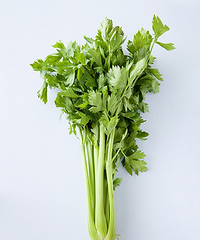 芹菜,了解好芹菜,才能更好的去食用