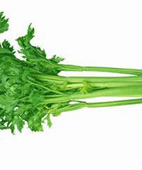 孕妇能吃芹菜吗?孕妇饮食不可忽视