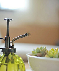 ����С���š���top7