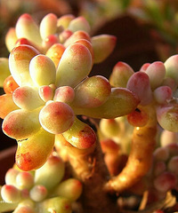 �����Ƽ��ʺ�������ϰ��12�����