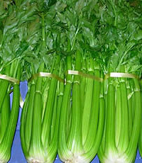 芹菜的做法大全,芹菜怎么做才好吃?