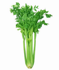 孕妇能吃芹菜吗?孕妇吃芹菜好吗?