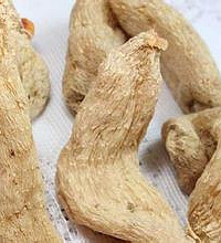 天麻的功效及作用!祛湿止痛!