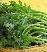 孕妇能吃茼蒿吗?消食开胃通便利肺