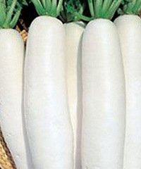 哺乳期能吃白萝卜吗,哺乳期吃白萝卜好吗?