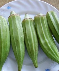 孕妇可以吃秋葵吗?孕妇的饮食