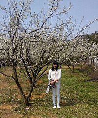 ������㳡�ŷ���