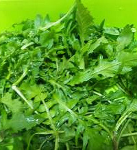 地皮菜是什么?地皮菜营养食谱推荐!