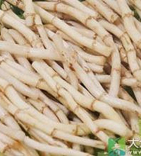 折耳根的功效与作用?吃折耳根能抗肿瘤!