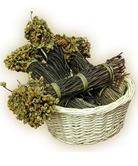孕妇能吃蕨菜吗?孕妇饮食就要当心咯