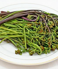 蕨菜的做法,蕨菜的家常菜做法