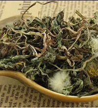 蒲公英的功效与作用?蒲公英的适合人群?