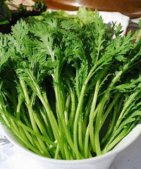 木耳菜,关于木耳菜的一些常识