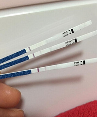 "17号排卵,官方啦!!数值很好,卵泡小第一次测到成熟卵泡成功啦