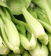 宝宝能吃小白菜吗?宝宝吃小白菜的注意事项
