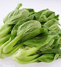 孕妇能吃小白菜吗?吃小白菜有什么好处