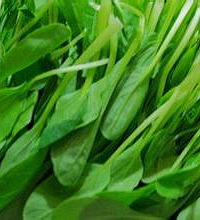 小白菜的营养及功效?吃小白菜的好处
