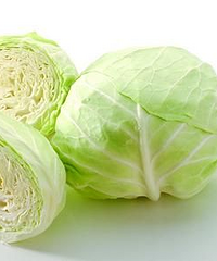 卷心菜,卷心菜的科学介绍