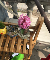 �����ӿ�����