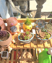 �簲���ҵ��ⱦ����