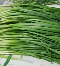 哺乳期能吃韭菜吗?韭菜怎么做