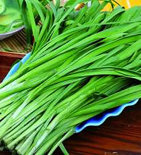 产妇能吃韭菜吗?吃韭菜的注意事项