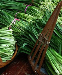 哺乳期能吃韭菜吗?哺乳期饮食宜忌