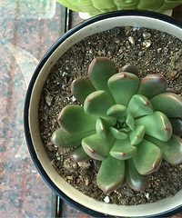 ��Ȼ�����ر�ã����ǻ�����ɹɹ