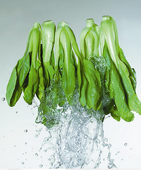 吃小白菜的注意事项,看看不同人吃小白菜需注意什么