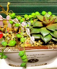 ���������Ȧ��һ������ů�����������