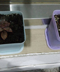 ���������Ȧ��һ����