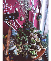 ���������Ȧ��һ����+����������Ϊ�����Ի��ݵ�ϲ��