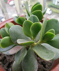 ǰ�����¿�ʼ�����⣬����Խ��Խ���ˣ�����