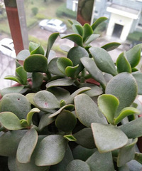 ǰ�����¿�ʼ�����⣬����Խ��Խ���ˣ�����