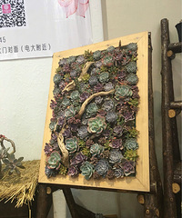 ����������һ������������̫����