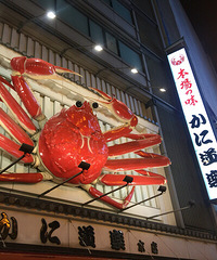 ���ձ��кú÷�й�������ء�