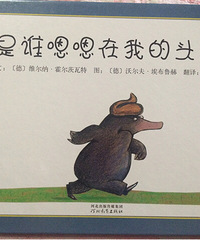 ����˭�������ҵ�ͷ�ϡ��ܱ��汾��