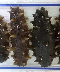 "有一味食材,相信大家都知道,但是不会烧,那就是海参(*^__^*)