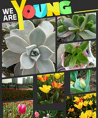 �������������˺ö�����������������⣬��