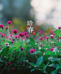【春游食谱特辑】三月踏春正当时,郊外野餐赏春色