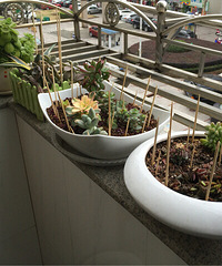 �����������ǩ