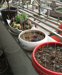 �����������ǩ