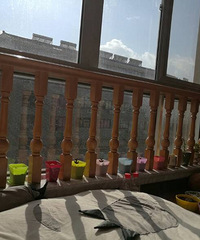 �������Ȧ��һ��+һ��������ƺ�