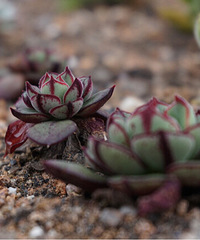 ������������