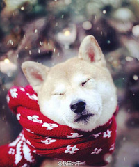 �����˶��죬�����ڴ��졣