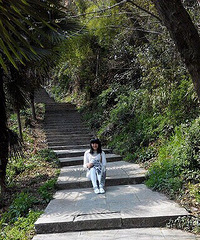 ��������һ���������ʺ�����