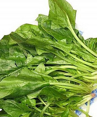 "产妇能吃菠菜吗? 产妇吃菠菜的做法"