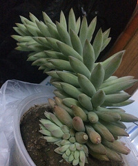 ���������Ȧ��һ����+ta��Ҫ����Ŀռ�