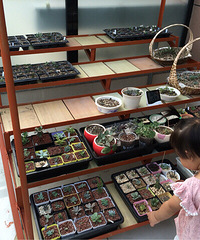 ����������һ����+���������