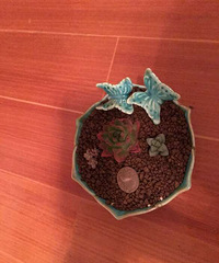 ϲ���ͺã��󲻹���Ҫ��